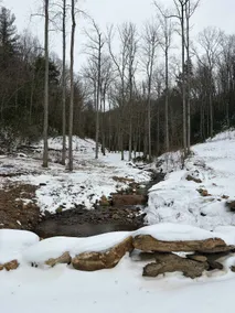 Mountain Cabin & Creek-Front Nature Retreat NC - Image 5