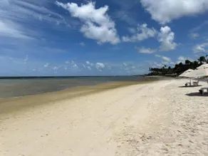 Brisa Muro Alto – By Flat on the Beach | Beachfront Apartment - Image 5