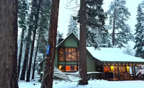 Huge Cozy Cabin. EV, Pet, & Kid-friendly. - Image 4