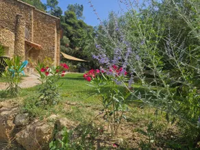 Sun House - Image 4
