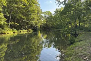 Fishing Trips & Waterfall Hikes! Alleghany Cottage - Image 2