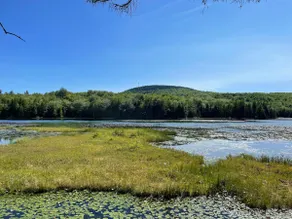 Serene Pondside Cottage w/Private Island Camping! - Image 5