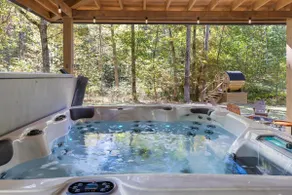 Modern Cabin: Hot Tub, Sauna, Pond Views, Sleeps 6 - Image 3
