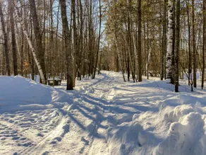 Lakefront Stay w/ Direct ATV & Trail Access - Image 4