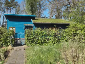 The blue house - Image 5