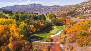 Magical Hobble Creek Cottage 5 Min Walk to Golf - Image 4