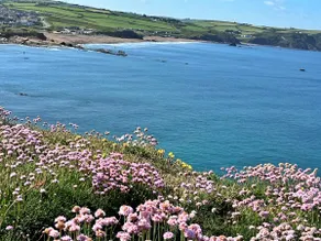 Finest Retreats - Sea Thrift at Widemouth Bay - Image 5