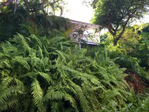 St James, Platinum coast Cottage di charme Tamarindo a scomparsa - Image 2