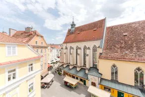 Hakuna - Penthouse Franziskanerplatz - Rooftop - Image 4