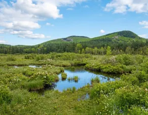 Adirondack Family Basecamp · Sleeps 13 - Image 3