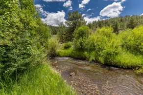 Poncha Creek House - Image 3