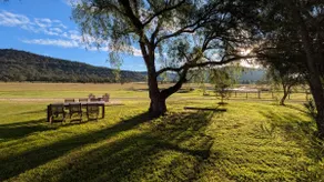 Mahony Estate Homestead - Image 5