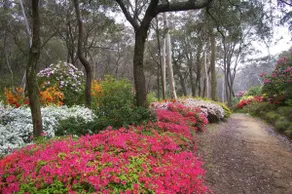 Cooinda Mountain Retreat - Image 3
