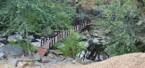 Buckeye Basecamp-40 Private, Pet Friendly Acres! - Image 4