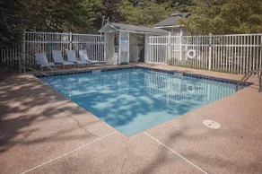 Laurel Falls Suite on Lookout Mountain - Image 3