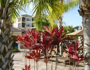 Luxury 3-bed Condo Near Disney Worldquest Resort - Image 3