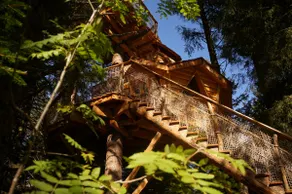 Brendezi-Hirsimökki-Comfort-Oma kylpyhuo cabin - Image 2