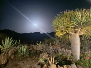CHC - Casa Rural Dracaena - Image 3