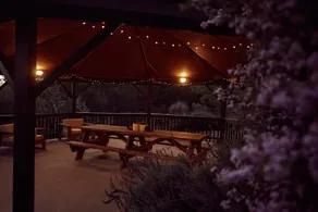 Luxury Mountain Lodge w/ Outdoor Bath, Plunge Pool - Image 4