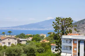 Alpa Suite - Image 4