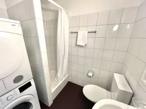 WA - City Apartment Zürich 8 Pax - Image 5