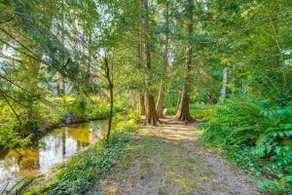 Wfh-friendly Gem w/ Creek: 4 Mi to Sammamish Trail - Image 3