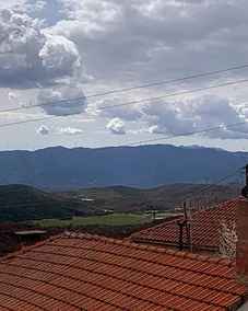 Sterna - Image 5