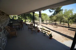 Manuela's garden - Image 4