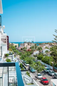 Mil Palmeras Sea View - Image 2
