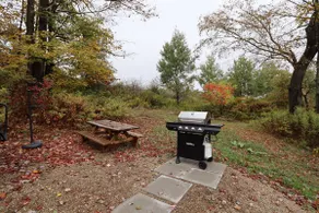 Stargazer Cabin w/ Hot Tub - Image 5