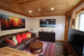 Stargazer Cabin w/ Hot Tub - Image 3