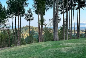 Mtn Views & Hot Tub: Umpqua Valley Villa! - Image 2
