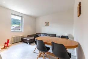 Mount Pilatus view Apartment Lucerne with free parking & WIFI - Image 2