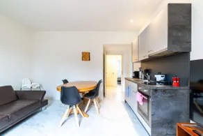 Mount Pilatus view Apartment Lucerne with free parking & WIFI - Image 4