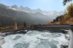 Chalet La Source - Ideal familles ski et rando - Image 3