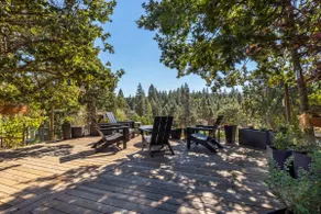 Happenstance Vineyards - Cozy 2BR in Mosier, OR - Image 2