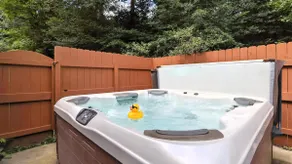 Dew Drop Inn | 4BR Retreat | Lakeside | Hot Tub - Image 3