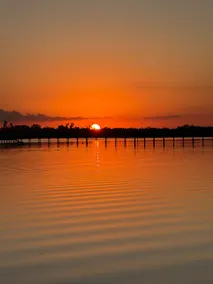 Manatee Hideaway Waterfront Home Incredible Views - Image 5