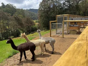 The Grandview Retreat, Riverside Farmstay Escape - Image 2