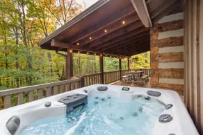 Cabin at Big Tree West Jefferson New Listing - Image 3