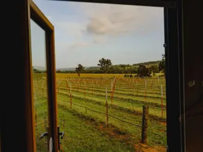 Sunset Tiny House at Bluebush Estate X by Tiny Away - Image 5