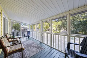 Bay Leave - Image 3
