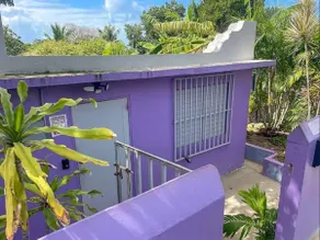 La Iguana Morada: A/C, WiFi, BioBay, walk to Ferry - Image 2