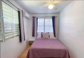 La Iguana Morada: A/C, WiFi, BioBay, walk to Ferry - Image 5