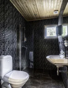 Cabin-Garden view-Private Bathroom-Deluxe-Mökki 12 - Image 3
