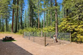 Forest Views | Hot Tub | Dog Area | Deck | BBQ - Image 4