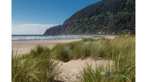 Beachcomber`s Cottage - Image 4