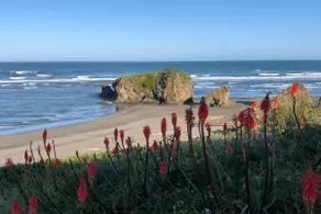 Ocean-View Manor with Large Yard, Walk to Beach - Image 3
