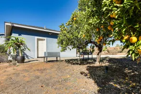Hike, Sip & Explore: Couples Retreat in Fallbrook - Image 3