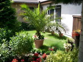 Ferienhaus Blumenhof - Image 2